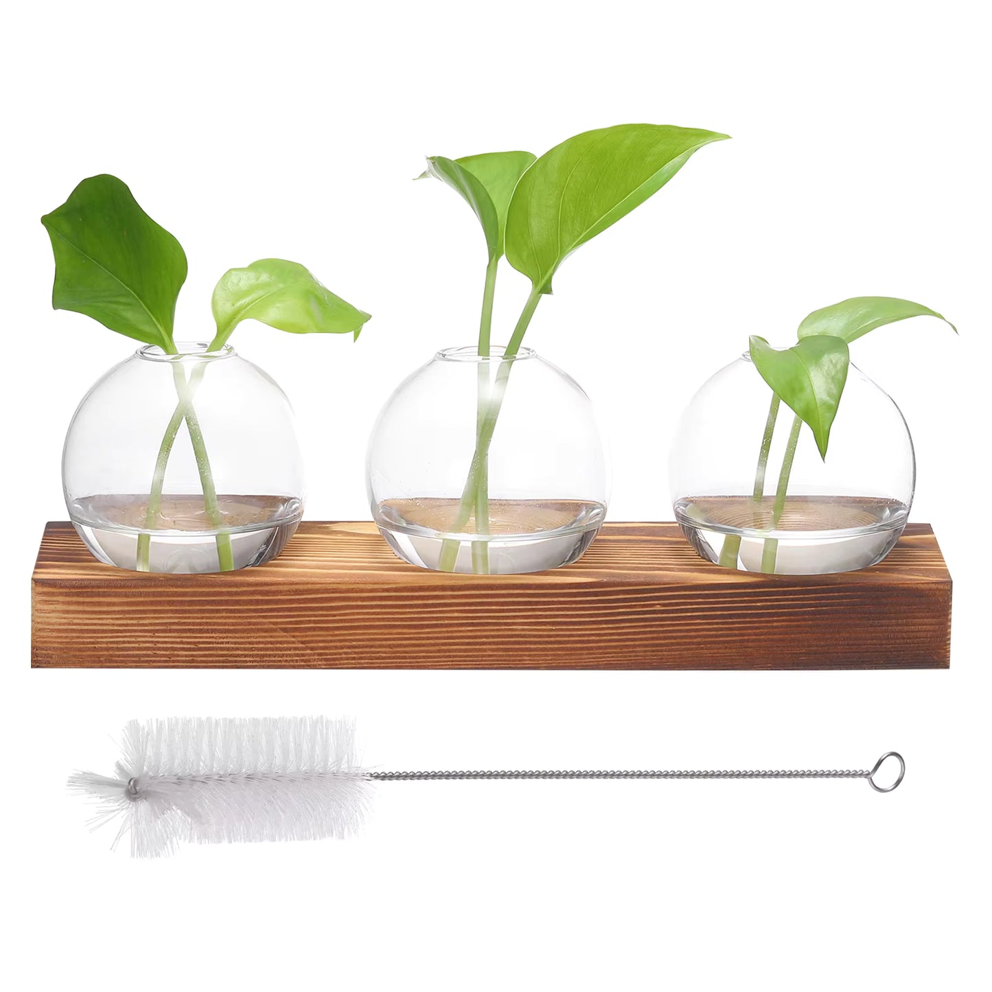 TerraOrbit Trio Hydroponic Vase Set