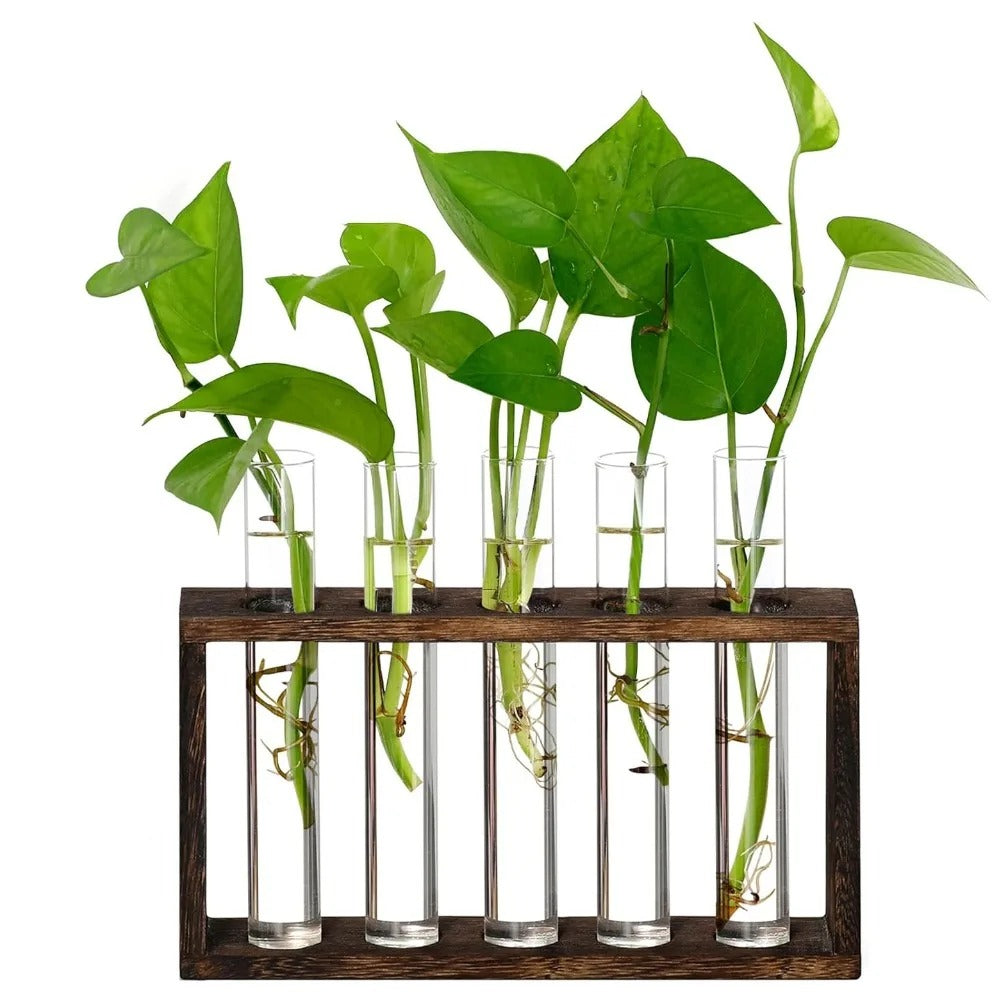 Five-Tube Hydroponic Stand
