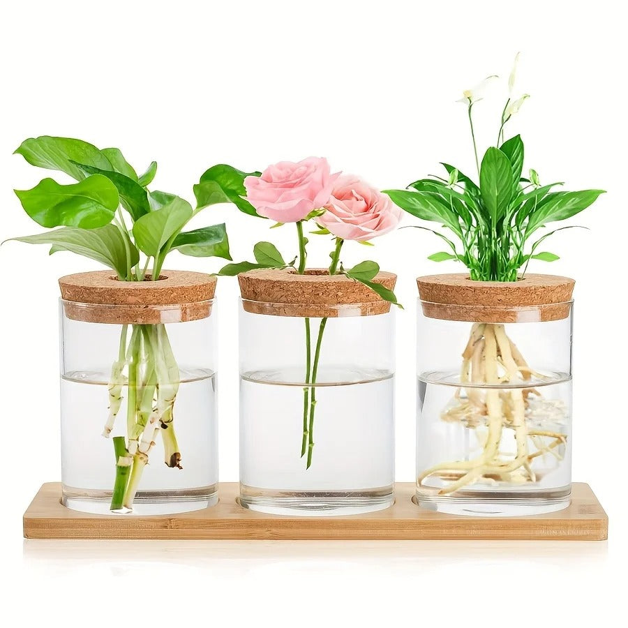 Trio Display Hydroponic Vase