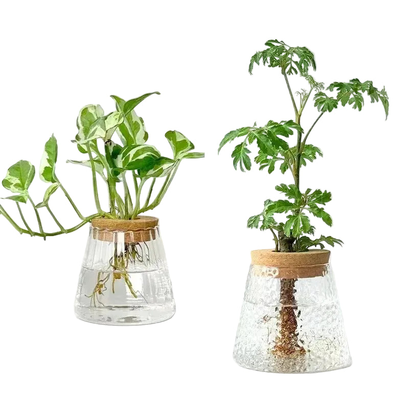 PebbleRoot Textured Hydroponic Vase