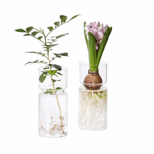 LumiRoot Bloom & Hydroponic Vase