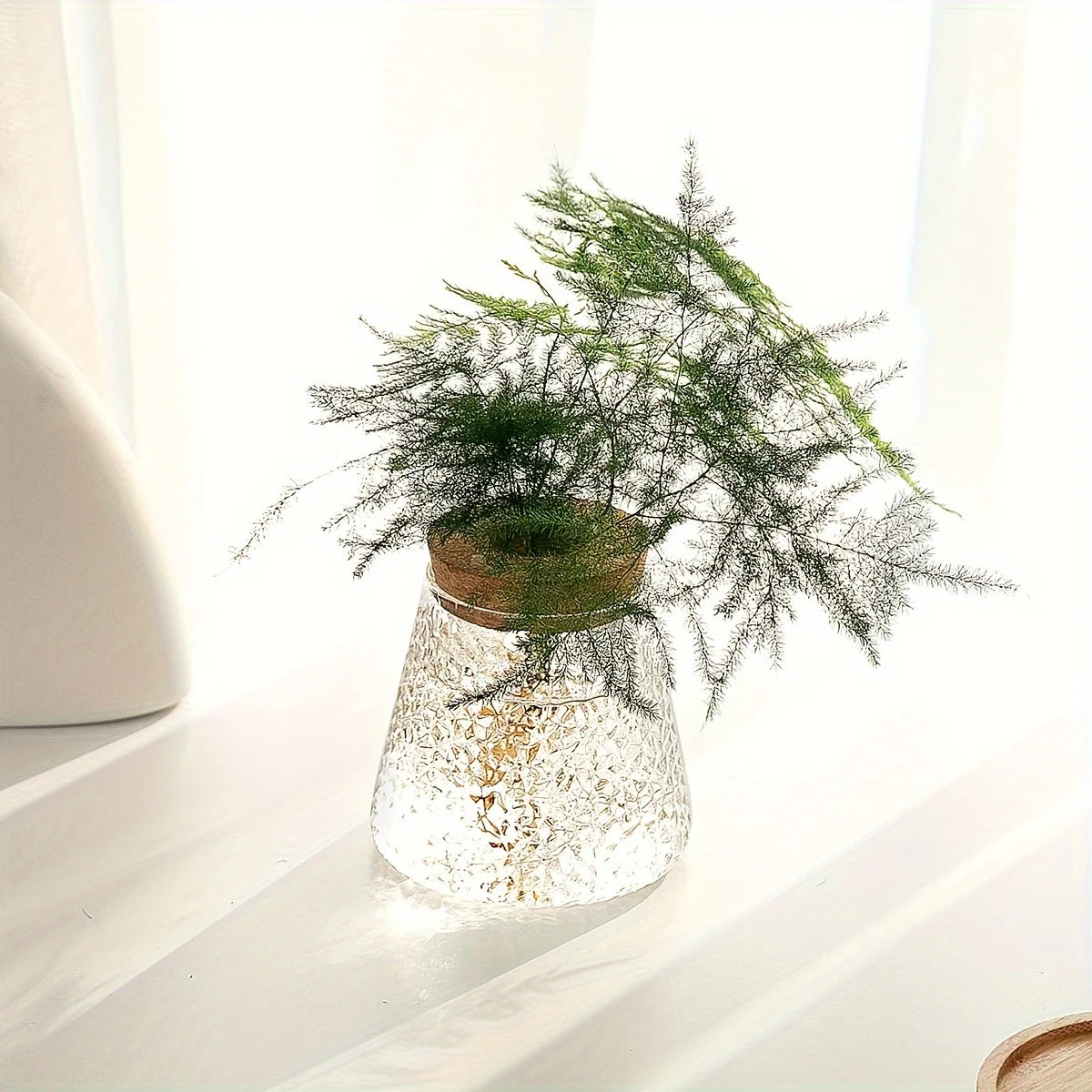 Set Mosslight Flare Hydroponic Vase