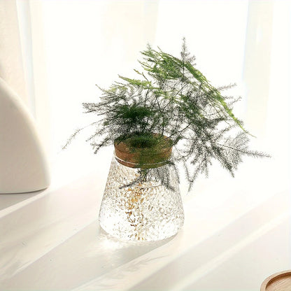 Set Mosslight Flare Hydroponic Vase