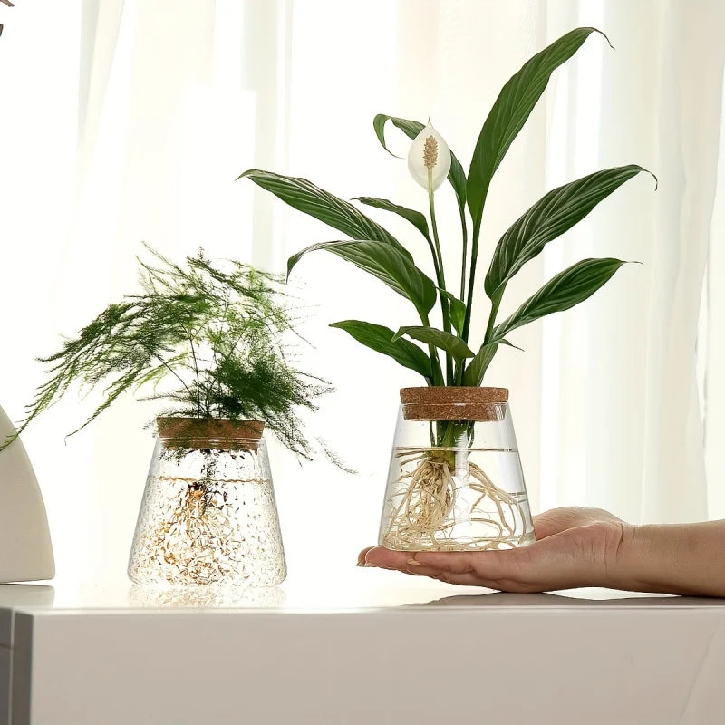 Set Mosslight Flare Hydroponic Vase