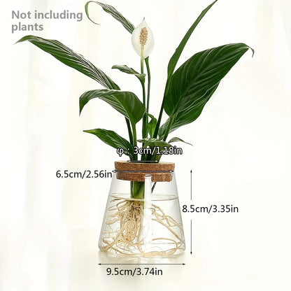 Set Mosslight Flare Hydroponic Vase