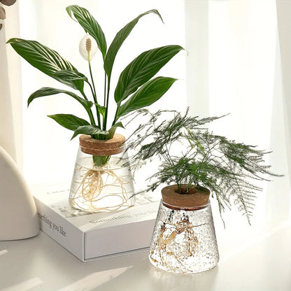 Set Mosslight Flare Hydroponic Vase