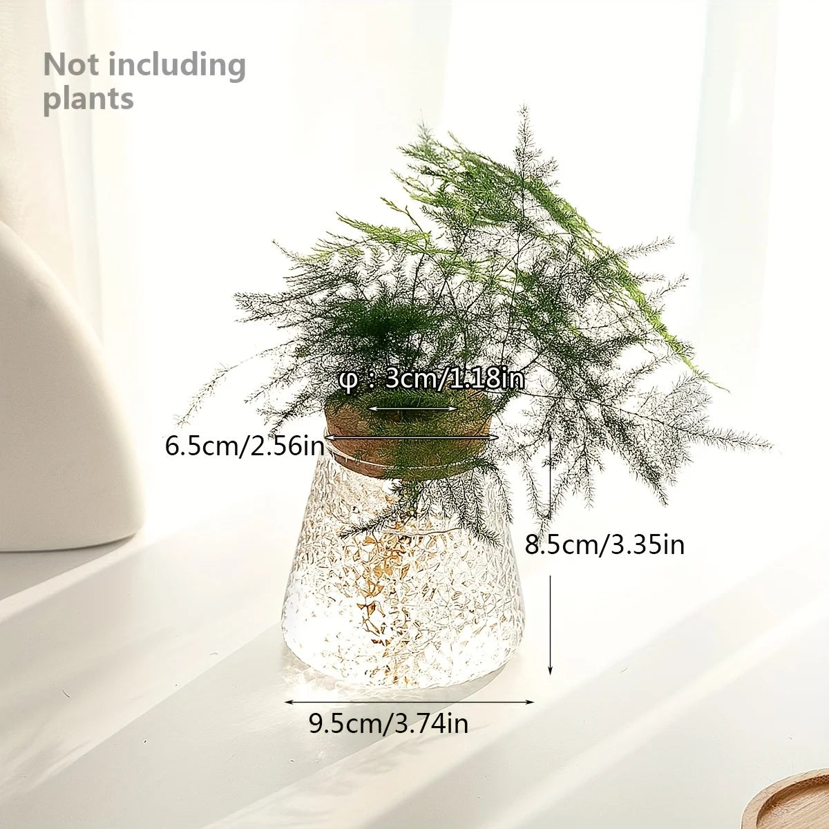 Set Mosslight Flare Hydroponic Vase