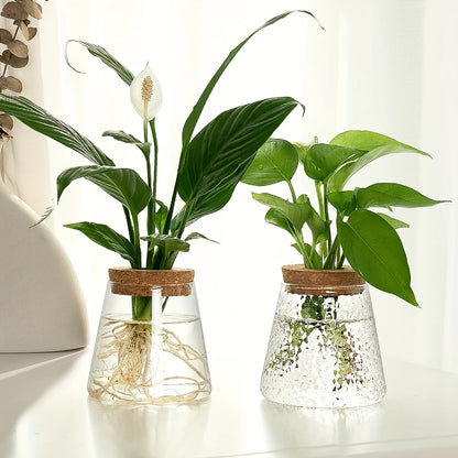 Set Mosslight Flare Hydroponic Vase