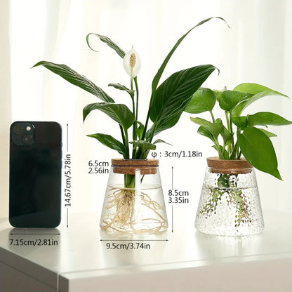 Set Mosslight Flare Hydroponic Vase