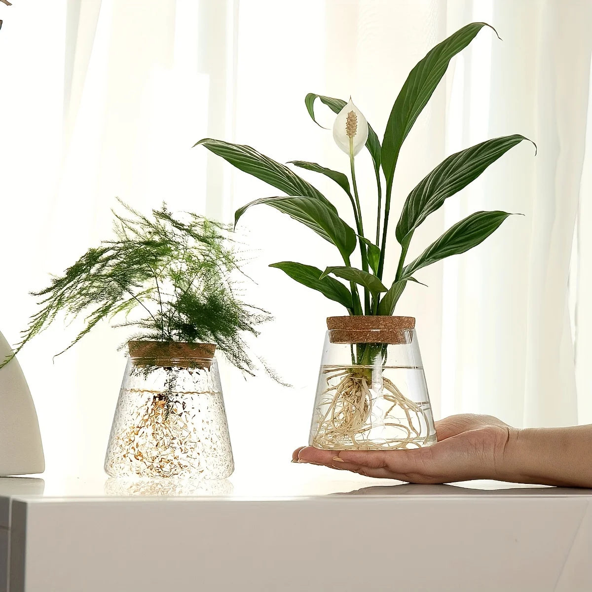 Set Mosslight Flare Hydroponic Vase