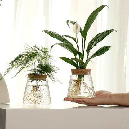 Set Mosslight Flare Hydroponic Vase