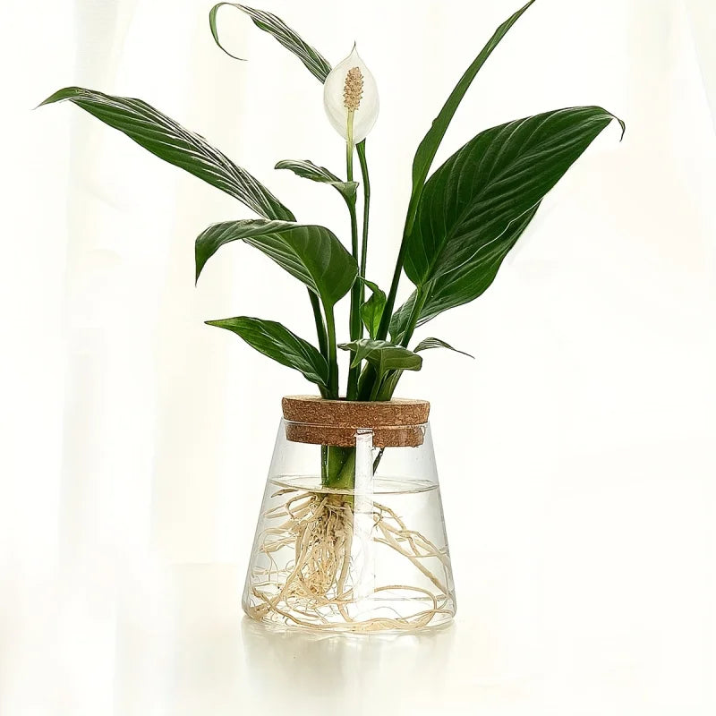 Set Mosslight Flare Hydroponic Vase