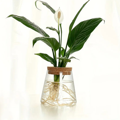 Set Mosslight Flare Hydroponic Vase