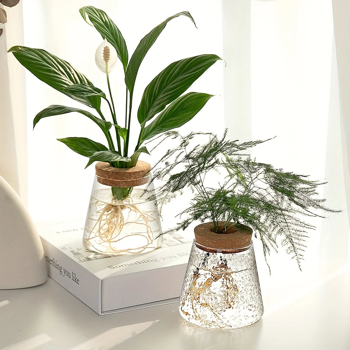 Set Mosslight Flare Hydroponic Vase