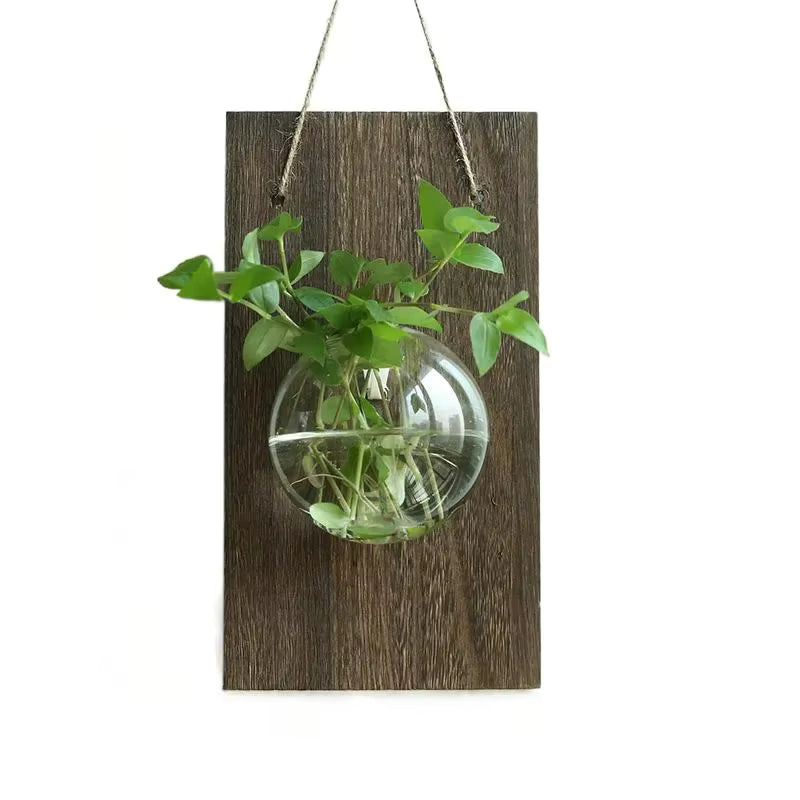 Hanging RootSphere Wall Hydroponic Vase