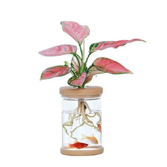 Blush Aqua Hydroponic Vase