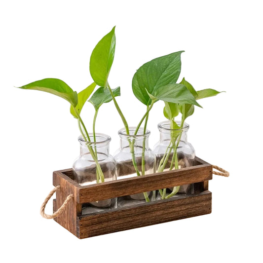 Rooted Trio Hydroponic Station